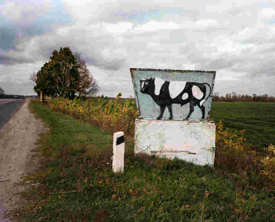 On the ride back from Ruwin Grinker's cabin, Olhovka, Ukraine, 2008