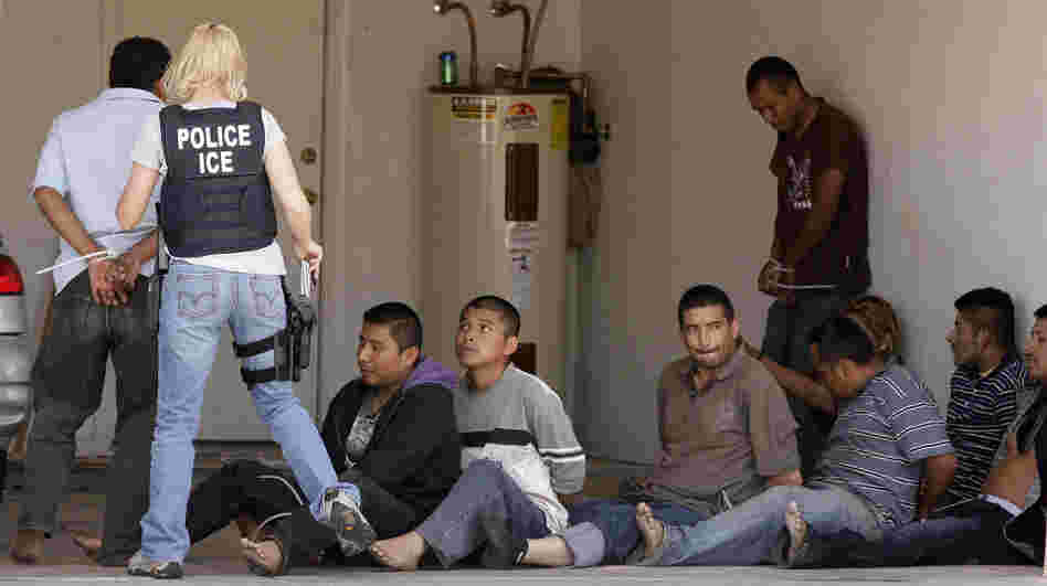 A drop house raid yielded several suspected illegal immigrants on April 29, 2010, in Phoenix. Northwestern University political science professor Jacqueline Stevens says some of the nearly 400,000 people deported during the past fiscal year weren't illegal immigrants.