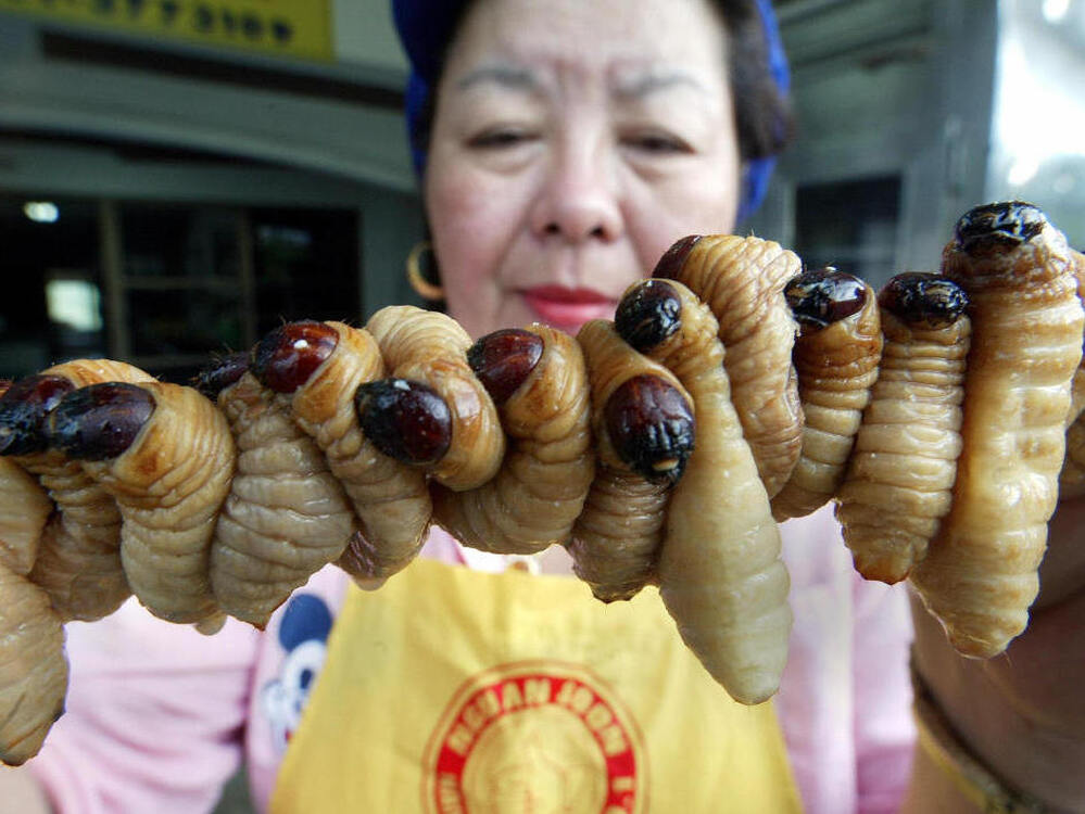 A Thai worker prepares grubs to cook. Eating bugs is accepted throughout the world, but it is now being proposed as a healthy and environmentally friendly treat that's catching on in North America and Europe.