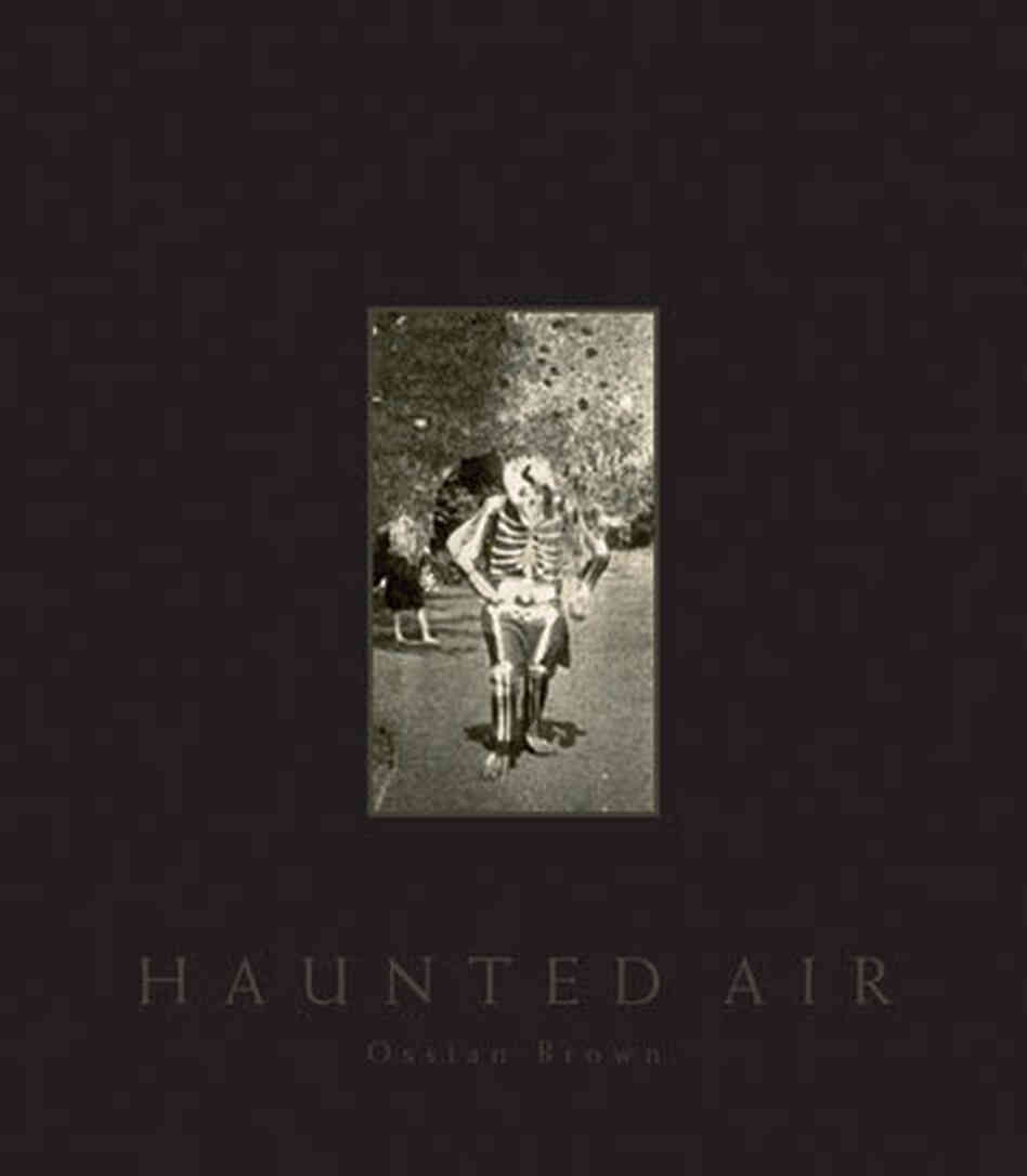 The cover of Haunted Air The cover of Haunted Air
