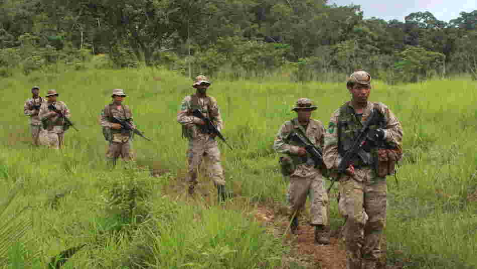 Special forces troops in Belize march through jungle looking for any sign of marijuana or drug smugglers. Drug traffickers have become increasingly active in Belize and other small nations in Central America. Special forces troops in Belize march through jungle looking for any sign of marijuana or drug smugglers. Drug traffickers have become increasingly active in Belize and other small nations in Central America.