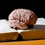 A brain sits atop a book. A brain sits atop a book.