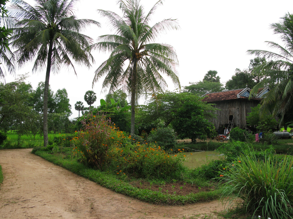 Peou Nam's traditional Khmer farmhouse on stilts in the countryside of Kampot province. Peou settled there after surviving the Khmer Rouge's attempts to execute him. He remarried and has six children with his second wife.