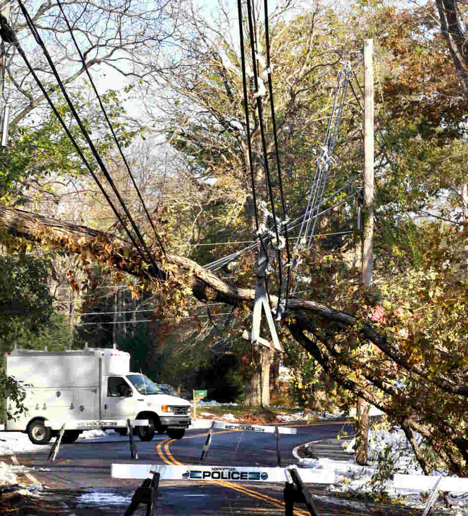Monday: Downed power lines in North Andover, Mass. 