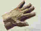 "Gericault's Hand" by Theodore Gericault. 