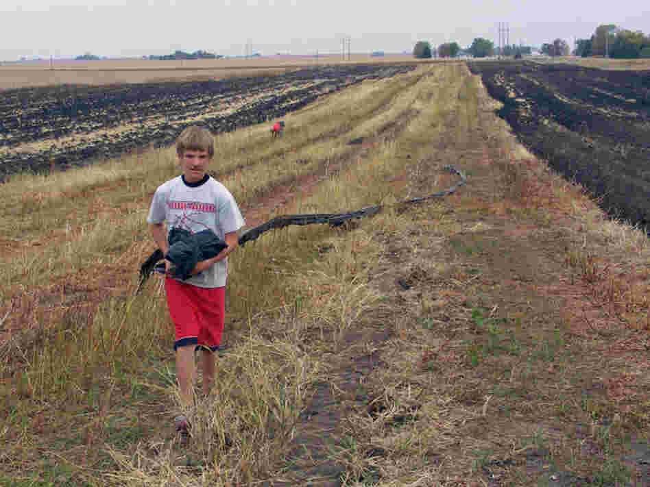 Drew Wilber, 14, works on his parents' 20-acre farm near Boone, Iowa, during his day off from school on Columbus Day. 