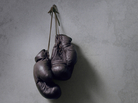 Boxing Gloves Boxing Gloves