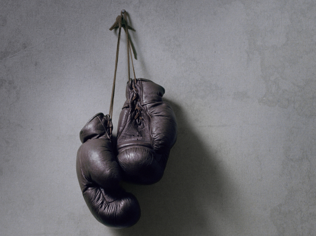 Boxing Gloves