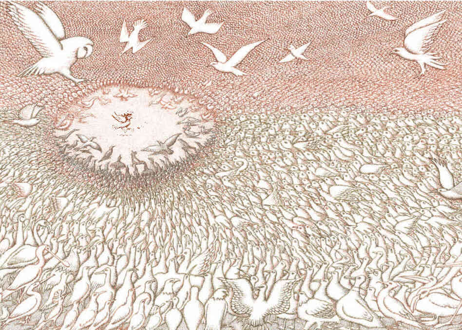 The Conference of the Birds, 3-4 The Conference of the Birds, 3-4