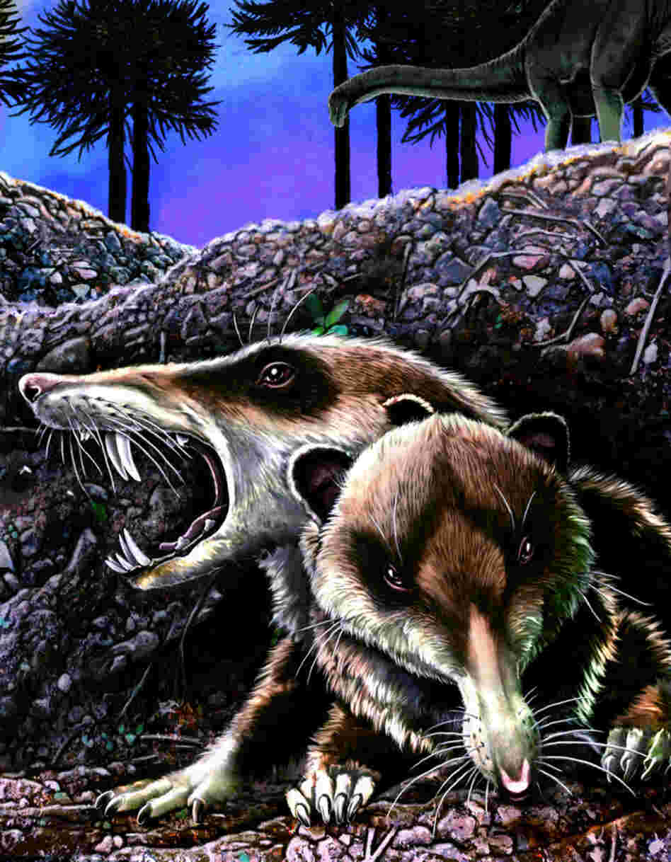 Reconstruction of Cronopio dentiacutus in its native environment at La Buitrera locality, Patagonia, Argentina, during the early Late Cretaceous (approximately 94 Million years ago).