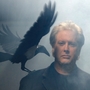 Darrell Hammond