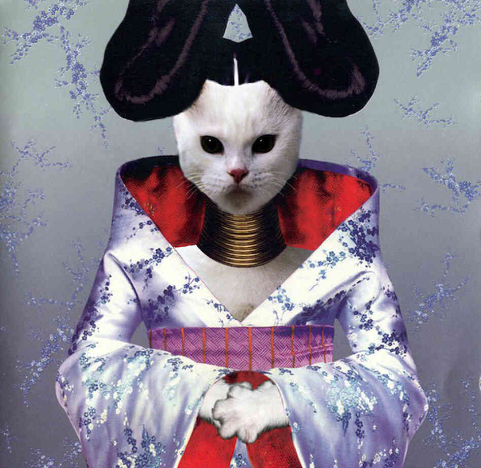Kitten Covers - Bjork Kitten Covers - Bjork
