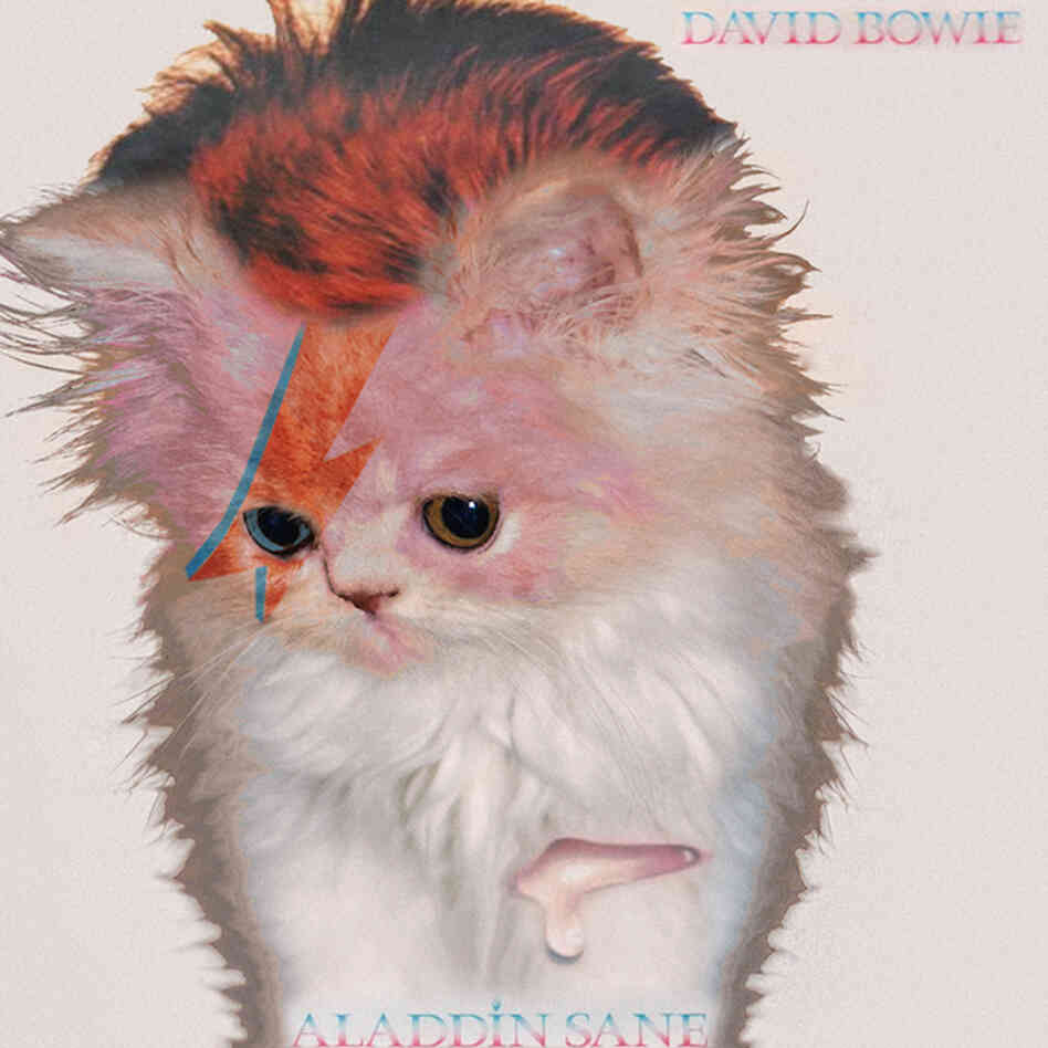 Kitten Covers - Bowie Kitten Covers - Bowie