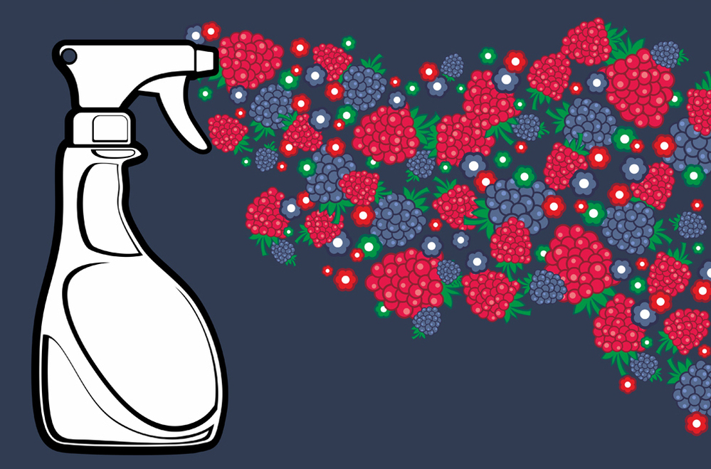 The fruity fragrance of some air fresheners can be a bother.