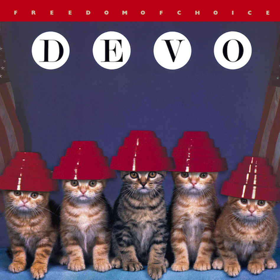 Kitten Covers - Devo Kitten Covers - Devo