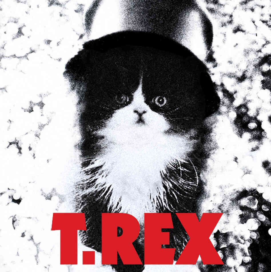 Kitten Covers - T. Rex Kitten Covers - T. Rex