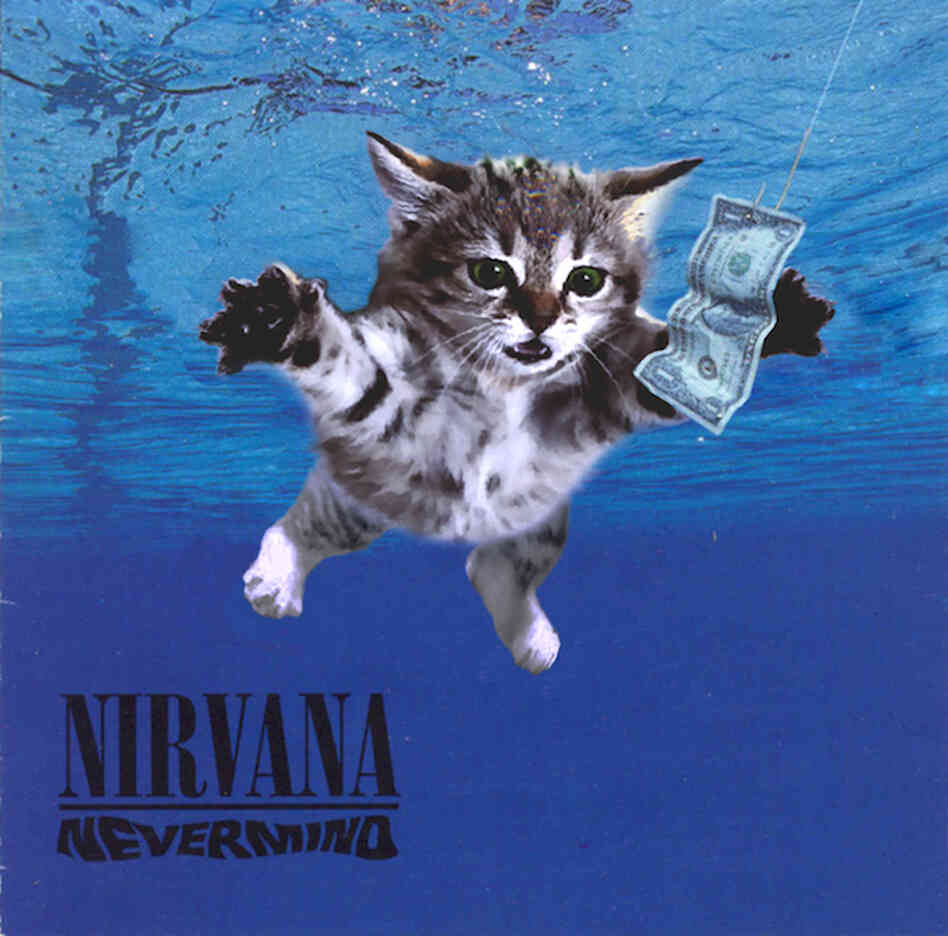 Kitten Covers - Nirvana Kitten Covers - Nirvana