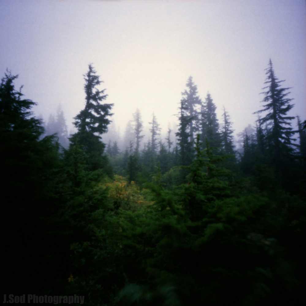 Mount Baker National Forest, near Seattle, Wash., taken with a wooden pinhole camera.