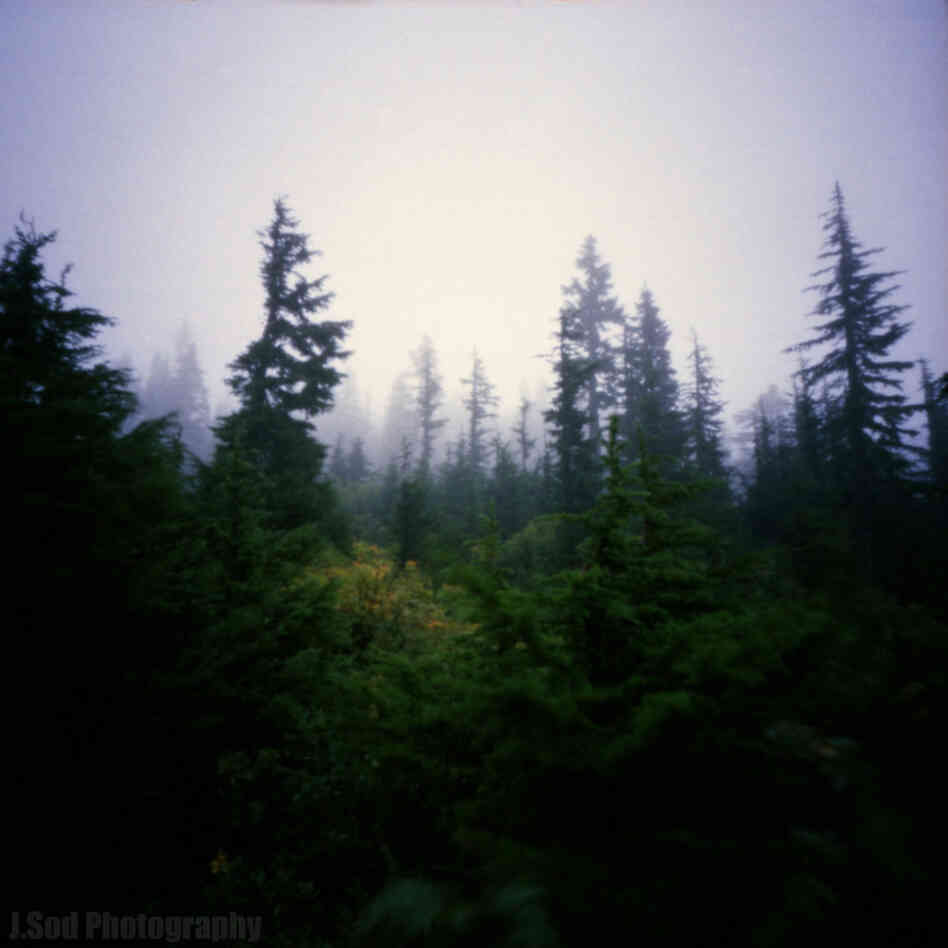 Mount Baker National Forest, near Seattle, Wash., taken with a wooden pinhole camera.