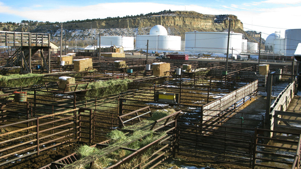 Billings, Mont., has a diverse economic base, as evidenced by the confluence of stockyards, oil refineries and natural beauty. The unemployment rate for Billings' Yellowstone County was 5.3 percent in September, far lower than the national average.