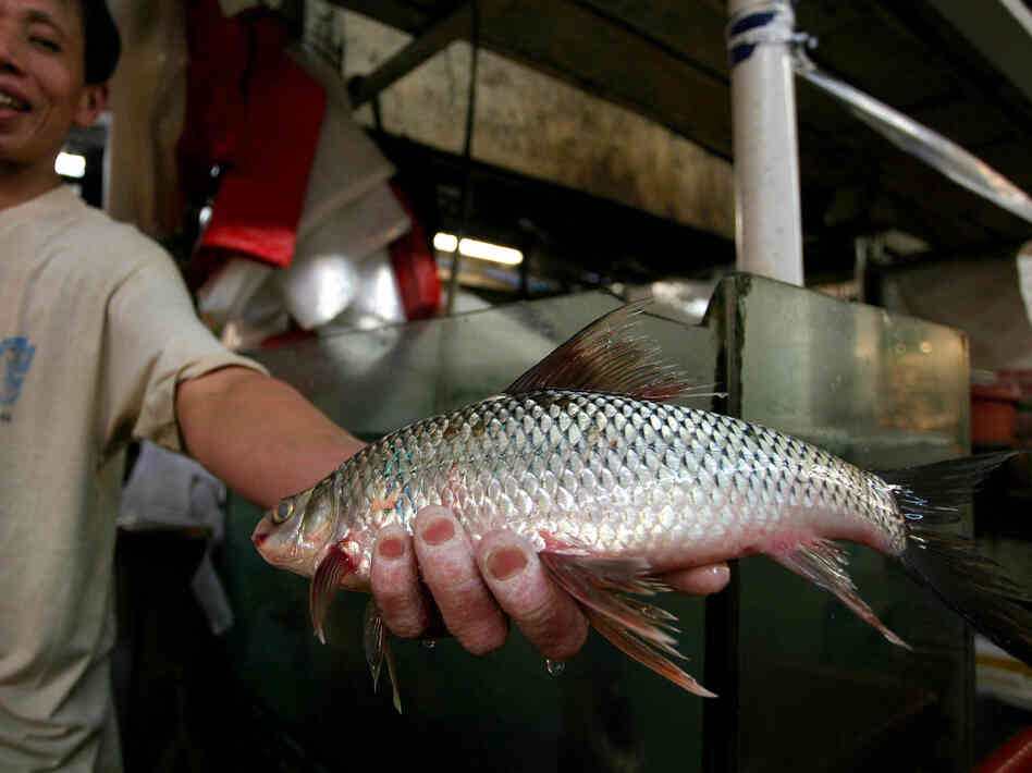 A vendor at a fish market in Hong Kong. 