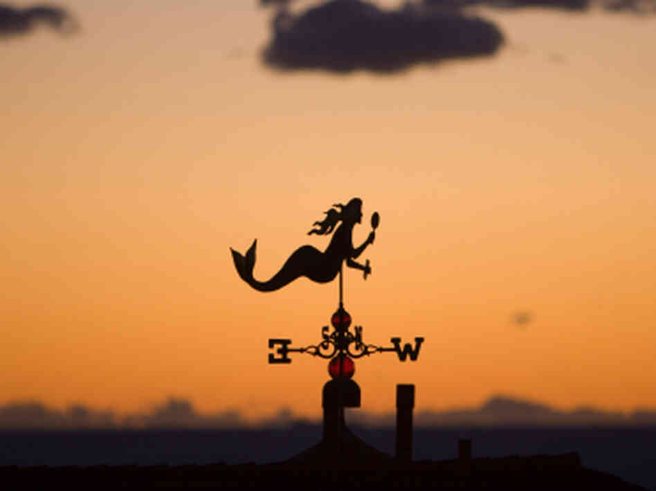 weather vane weather vane