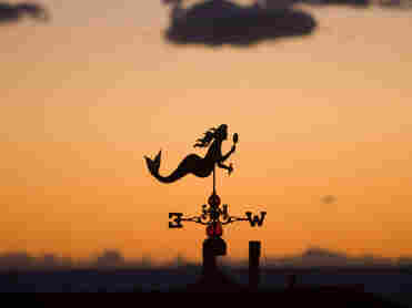 weather vane weather vane