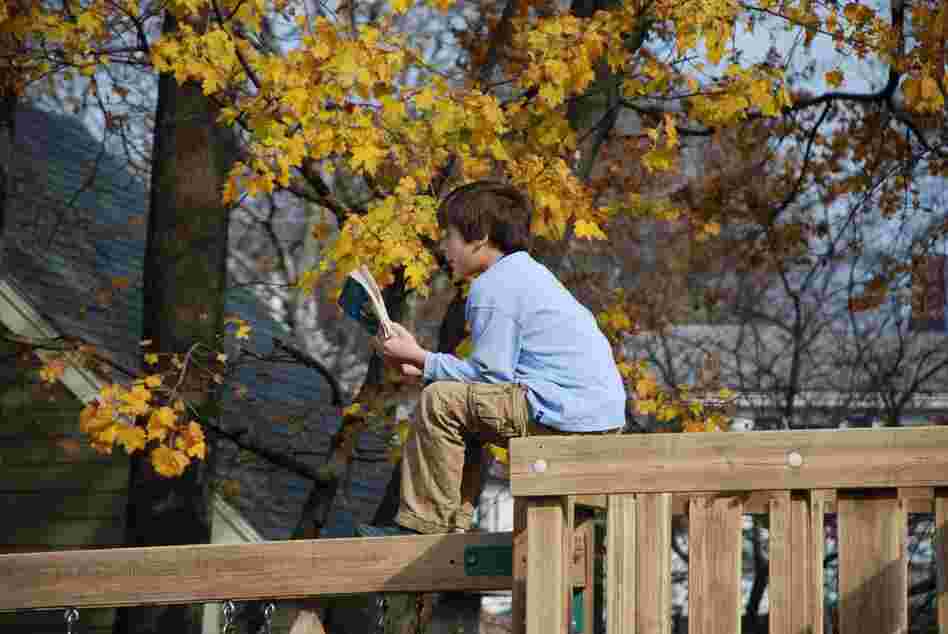 Alexander Tagliani, 9, reads from his perch in Beverly, MA.