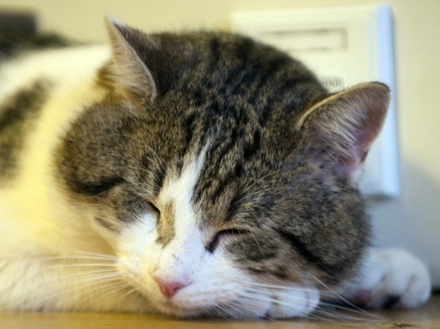 Hey Larry! Wake up! 