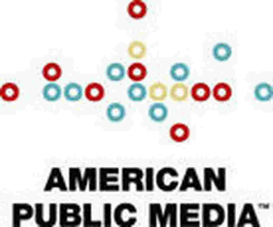 APM Logo