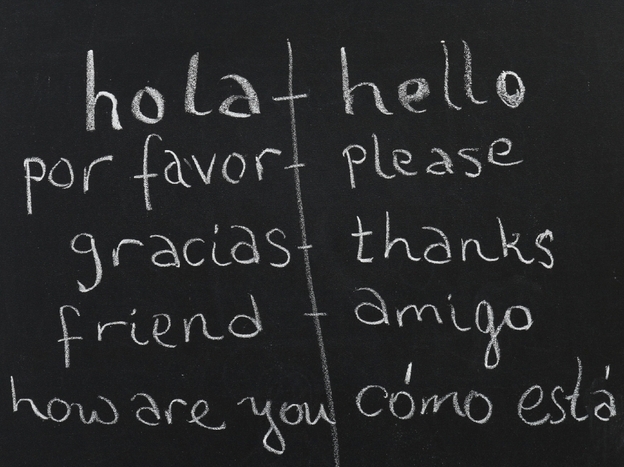 When it comes to the basics, translation is relatively straightforward. But David Bellos argues that translating sentences, not to mention books, is inherently complex. 