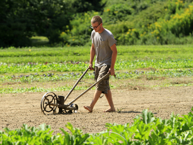 Jameson Small uses a late-1800s seeder to plant lettuce at Tuttle farm in Dover, N.H.  Small is part of a group of young farmers who are taking care of the land as the owners await a buyer.