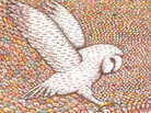 A Feathered Gathering: All the birds of the world gather to hear the hoopoe bird speak in author and illustrator Peter Sis' The Conference of the Birds. Sis painstakingly painted thousands of birds by hand in to bring his new book to life. Click Here For A Closer Look A Feathered Gathering: All the birds of the world gather to hear the hoopoe bird speak in author and illustrator Peter Sis' The Conference of the Birds. Sis painstakingly painted thousands of birds by hand in to bring his new book to life. Click Here For A Closer Look