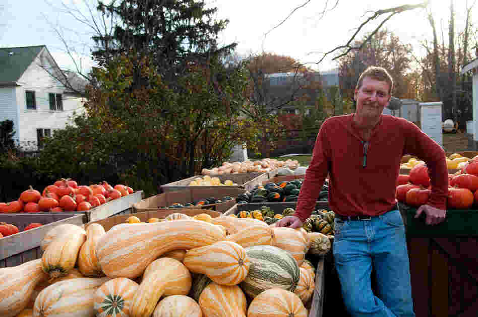 David Heisler grows 38 varieties of pumpkins on his Maryland farm. David Heisler grows 38 varieties of pumpkins on his Maryland farm.