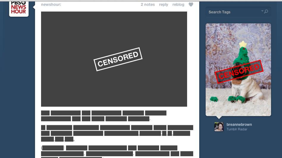 This is what a Tumblr news feed looks like today.