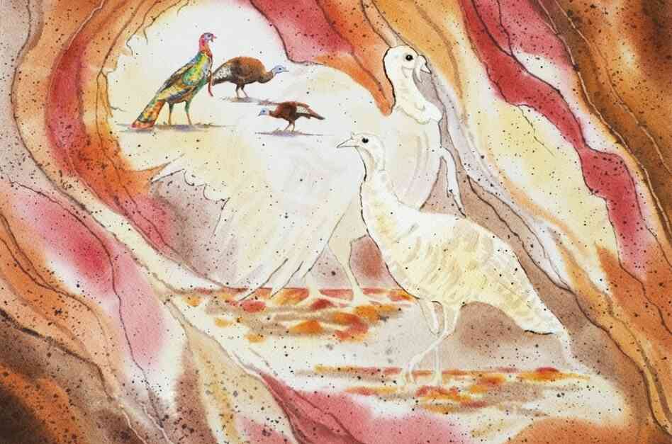 A watercolor painting of a turkey.