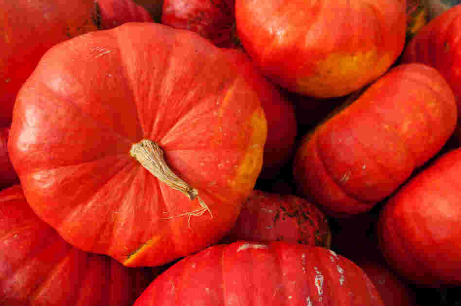 Rouge Vif D'Etampes, a large Cinderlla variety.