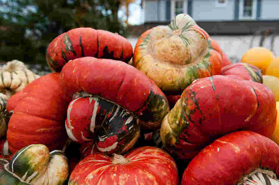 Turban squash, another American variety, is great for roasting.