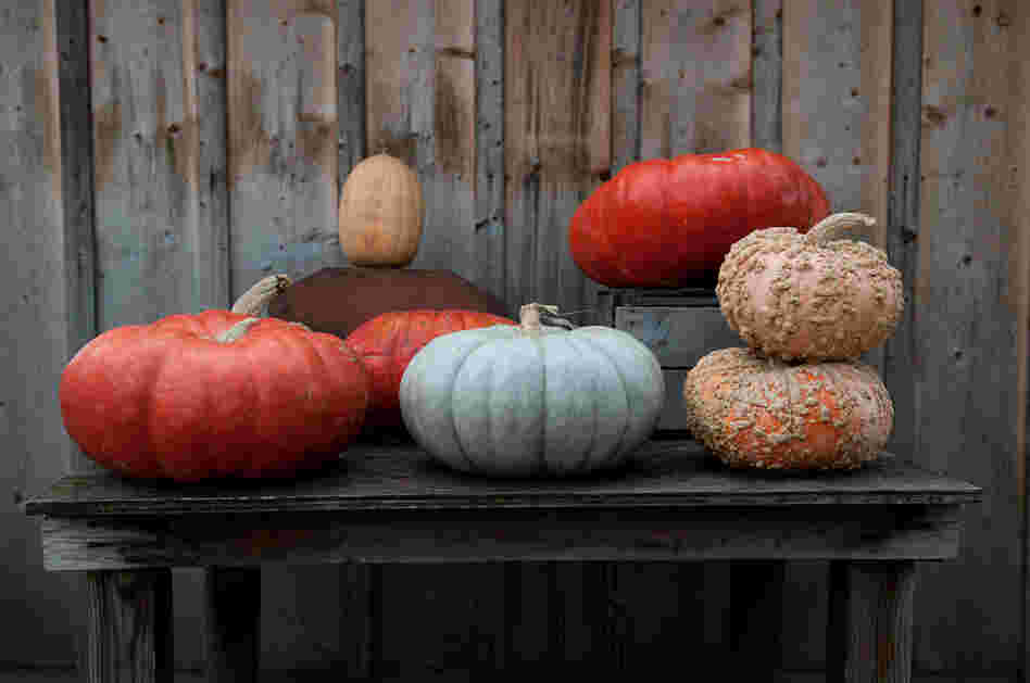 Maryland's Comus Market has 38 varieties of pumpkin and squash. 