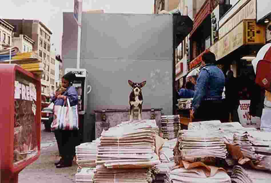 New York City street scene