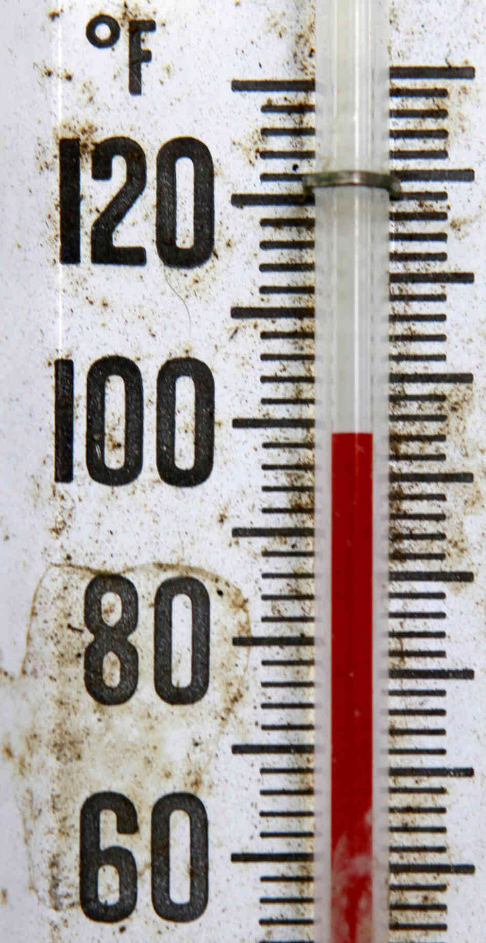 Prepare to see this more often, even in usually cooler climes, the experts say. Prepare to see this more often, even in usually cooler climes, the experts say.