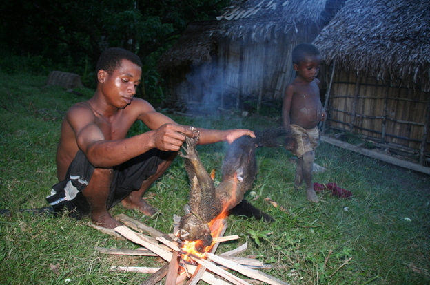  A man prepares an aye-aye, a rare type of lemur found only on the island of Madagascar, for dinner. These primates are an important source of iron and protein despite being critically endangered.