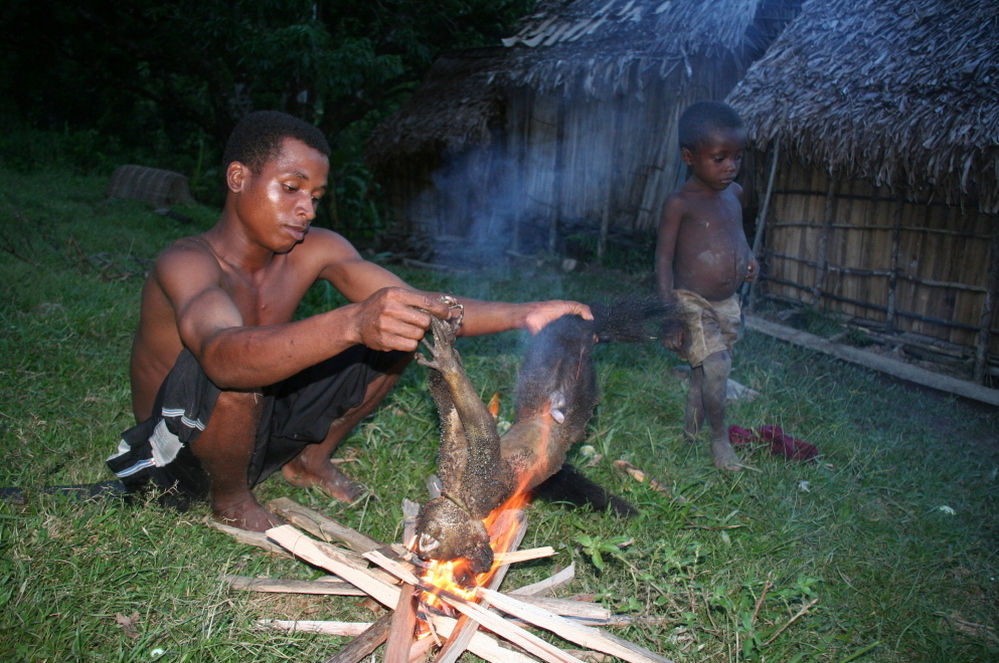  A man prepares an aye-aye, a rare type of lemur found only on the island of Madagascar, for dinner. These primates are an important source of iron and protein despite being critically endangered.