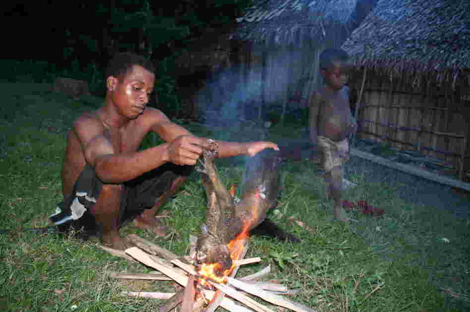  A man prepares an aye-aye, a rare type of lemur found only on the island of Madagascar, for dinner. These primates are an important source of iron and protein despite being critically endangered.
