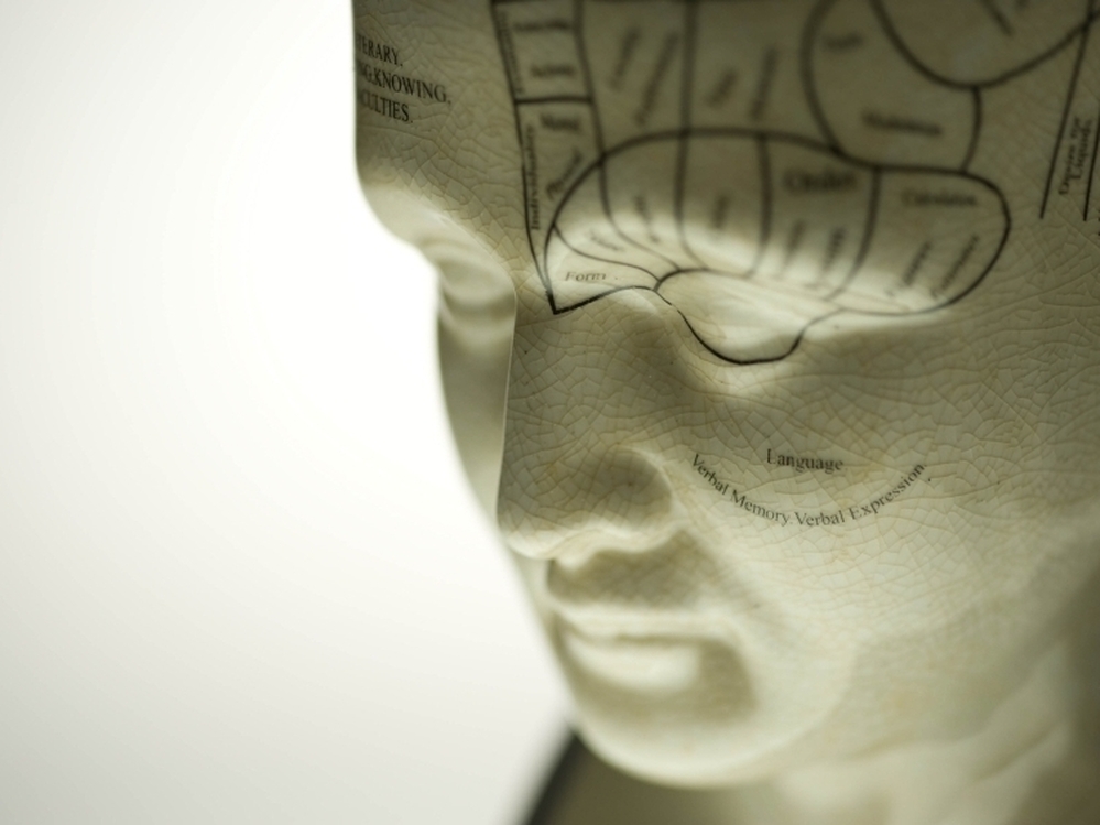 Brain diagram