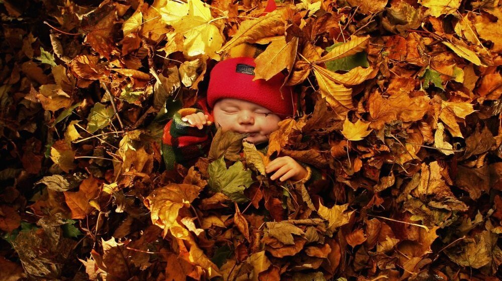 Photo illustration: fallen autumn leaves form a backdrop for a portrait of a sleeping baby in Levengrove Park, November 1, 2006 in Dumbarton, Scotland.