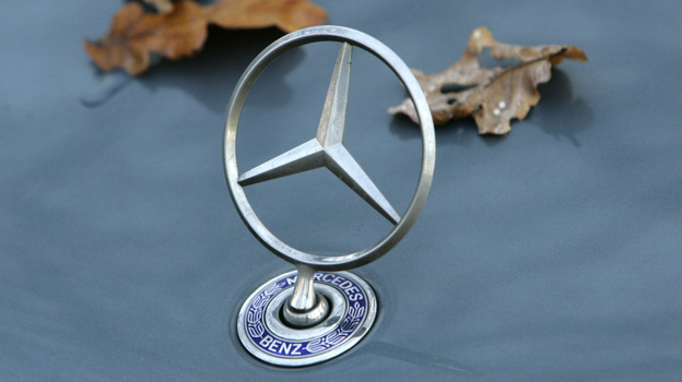 Foliage is seen on the engine hood of a Mercedes Benz.