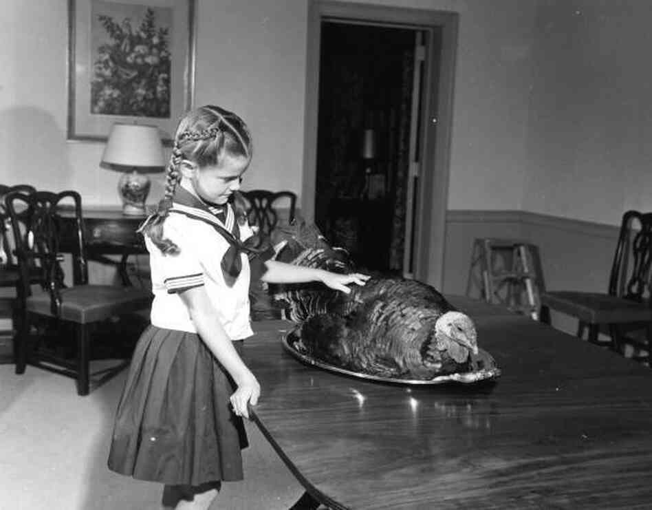 Darby Collins, daughter of the Tallahassee governor, at home in Florida, 1959. Darby Collins, daughter of the Tallahassee governor, at home in Florida, 1959.