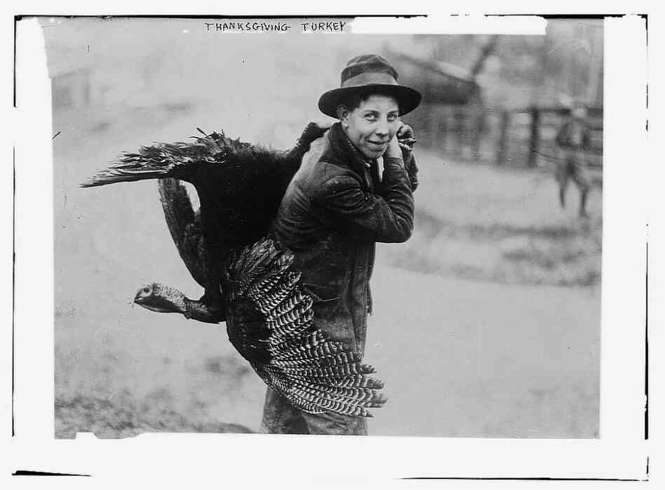 Thanksgiving turkey, circa 1910 Thanksgiving turkey, circa 1910