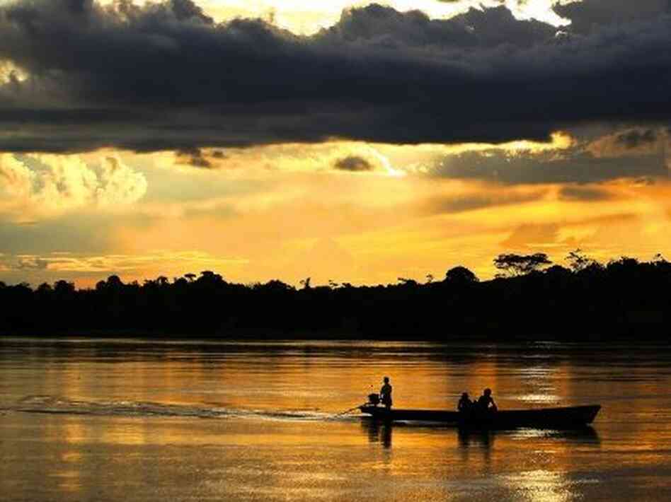 The rain forest around the Amazon River is home to some of the only surviving societies of people untouched by modern civilization.